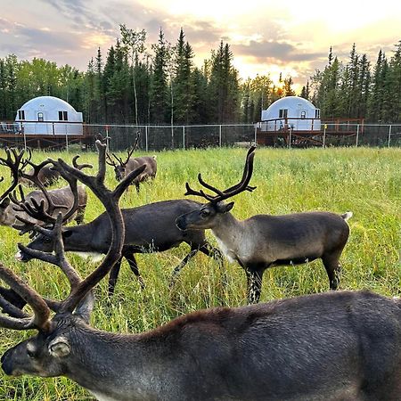 Вілла Pleasant Acres Reindeer Ranch Pleasant Valley Екстер'єр фото