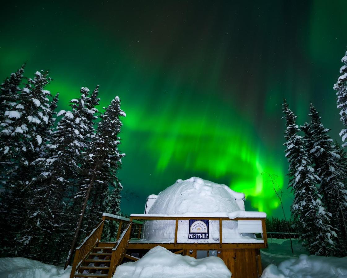 Вілла Pleasant Acres Reindeer Ranch Pleasant Valley Екстер'єр фото