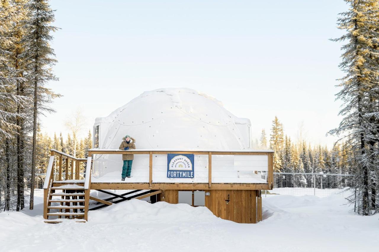 Вілла Pleasant Acres Reindeer Ranch Pleasant Valley Екстер'єр фото